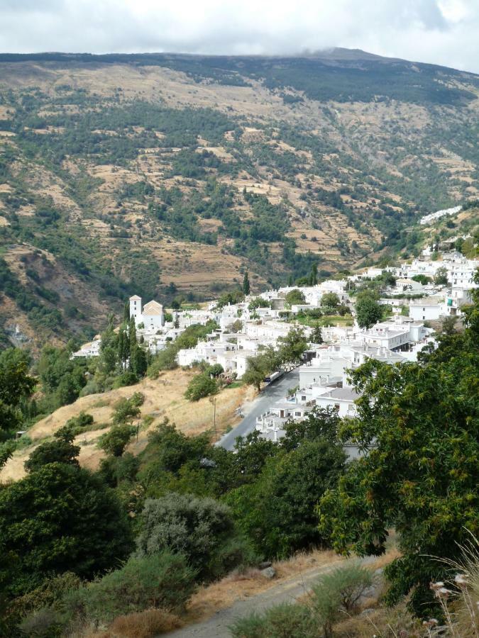 부비온 Casita Buena Vista 아파트 외부 사진