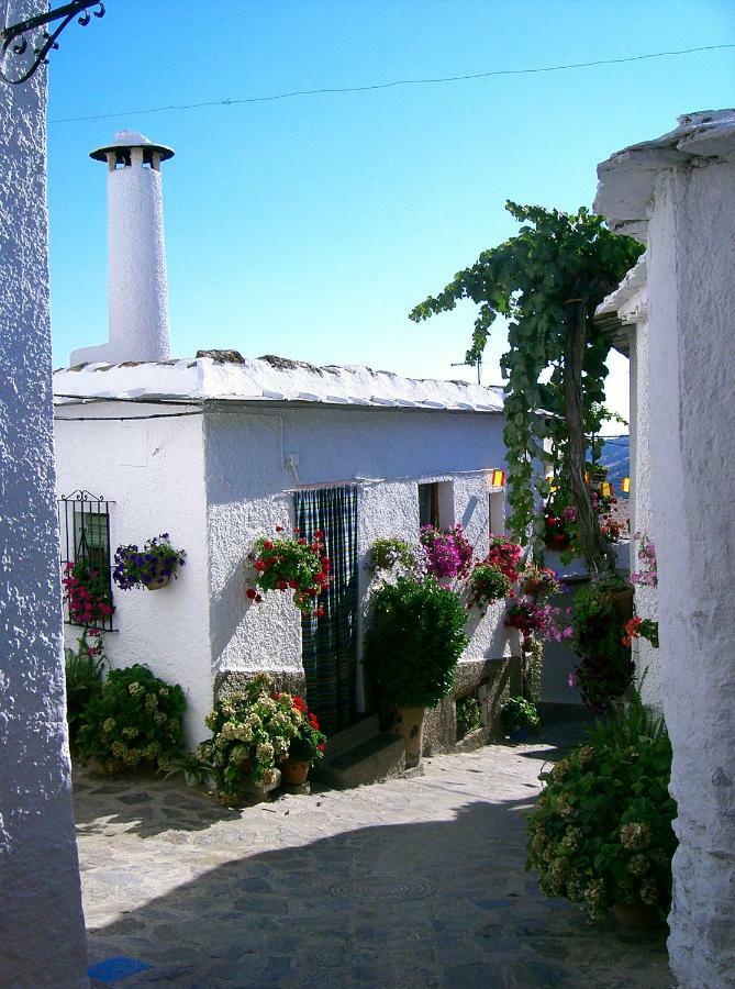 부비온 Casita Buena Vista 아파트 외부 사진
